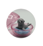 海の生物アニマルカプセルトイ（個別スタンプ：8）