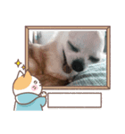 テキスト428（個別スタンプ：2）