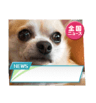 テキスト428（個別スタンプ：3）