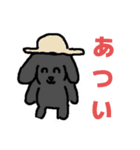 なつのくろまめ大冒険（個別スタンプ：1）