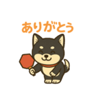 黒柴ナナちゃんと卓球部（個別スタンプ：1）