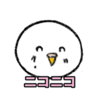 白いインコさんスタンプ Vol.3（個別スタンプ：3）