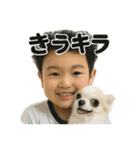チワワのぱるとぼくたち（個別スタンプ：2）
