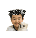 チワワのぱるとぼくたち（個別スタンプ：5）