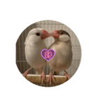 可愛い3羽♡（個別スタンプ：5）