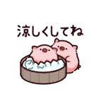 夏のぶた2（個別スタンプ：37）