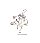 【バンザイ猫 1】（個別スタンプ：4）