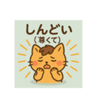 推し活ネコウマちゃん（個別スタンプ：2）