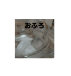 きぬ・もめん・いなり2（個別スタンプ：7）