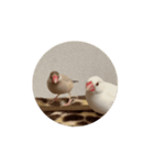 ハクくん動くよ〜（個別スタンプ：4）