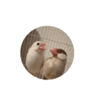 ハクくん動くよ〜（個別スタンプ：8）