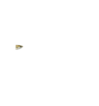 動く！魚マニア・コレクションVol.1（個別スタンプ：2）