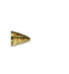 動く！魚マニア・コレクションVol.1（個別スタンプ：3）