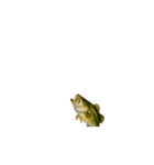 動く！魚マニア・コレクションVol.1（個別スタンプ：7）