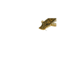 動く！魚マニア・コレクションVol.1（個別スタンプ：9）