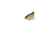 動く！魚マニア・コレクションVol.1（個別スタンプ：13）