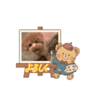 うみすけ3（個別スタンプ：2）