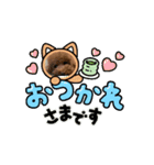 うみすけ3（個別スタンプ：3）