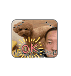 うみすけ3（個別スタンプ：8）