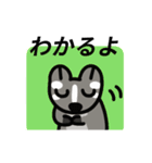 動く！ハクビシン（個別スタンプ：2）
