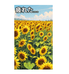 向日葵コレクション（個別スタンプ：31）
