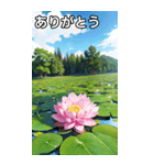 蓮の花コレクション（個別スタンプ：3）
