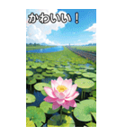 蓮の花コレクション（個別スタンプ：20）