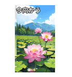 蓮の花コレクション（個別スタンプ：26）