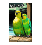 セキセイインココレクション（個別スタンプ：5）