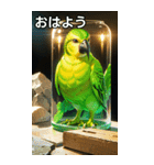 セキセイインココレクション（個別スタンプ：6）