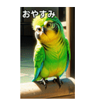 セキセイインココレクション（個別スタンプ：7）