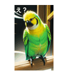 セキセイインココレクション（個別スタンプ：12）