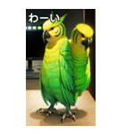 セキセイインココレクション（個別スタンプ：14）