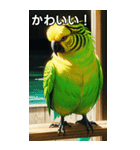 セキセイインココレクション（個別スタンプ：20）