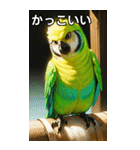 セキセイインココレクション（個別スタンプ：21）