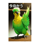 セキセイインココレクション（個別スタンプ：26）