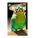セキセイインココレクション（個別スタンプ：28）