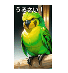 セキセイインココレクション（個別スタンプ：29）