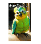 セキセイインココレクション（個別スタンプ：30）