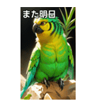 セキセイインココレクション（個別スタンプ：32）