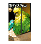 セキセイインココレクション（個別スタンプ：33）