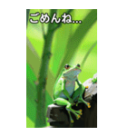 梅雨のカエルコレクション（個別スタンプ：4）