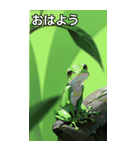 梅雨のカエルコレクション（個別スタンプ：6）