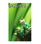 梅雨のカエルコレクション（個別スタンプ：20）