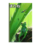 梅雨のカエルコレクション（個別スタンプ：23）