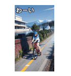 自転車コレクション大百科（個別スタンプ：14）