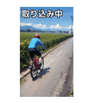 自転車コレクション大百科（個別スタンプ：33）