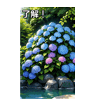 紫陽花コレクション（個別スタンプ：2）