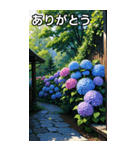 紫陽花コレクション（個別スタンプ：3）