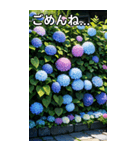 紫陽花コレクション（個別スタンプ：4）